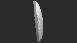 3-D Modell Denar Gaius Julius Caesar